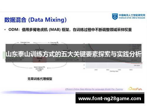 山东泰山训练方式的五大关键要素探索与实践分析
