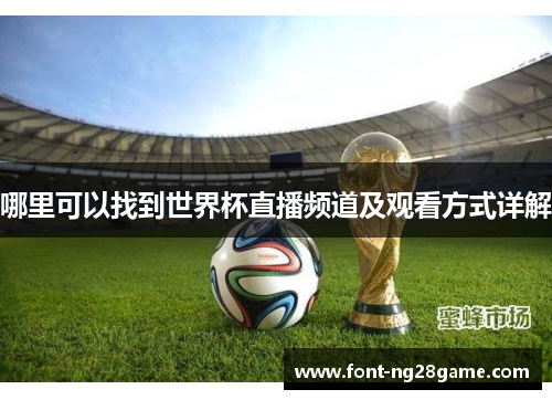 哪里可以找到世界杯直播频道及观看方式详解