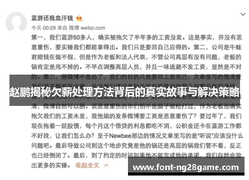 赵鹏揭秘欠薪处理方法背后的真实故事与解决策略